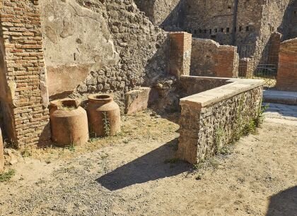 Kolorowa ilustracja przedstawia aktualny stan zabudowań Pompejów. Na fotografii znajduje się fragment domu i ulicy miasta. Na pierwszym planie  ukazano wnętrze pomieszczenia gospodarczego; pod ścianą stoją dwa wysokie dzbany tzw. pitosy. Podłoże wyłożone jest żwirem i porośnięte trawą.