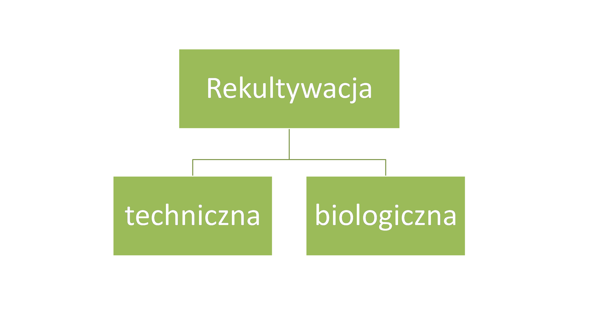 Ilustracja przedstawia podział rekultywacji na techniczną i biologiczną. 