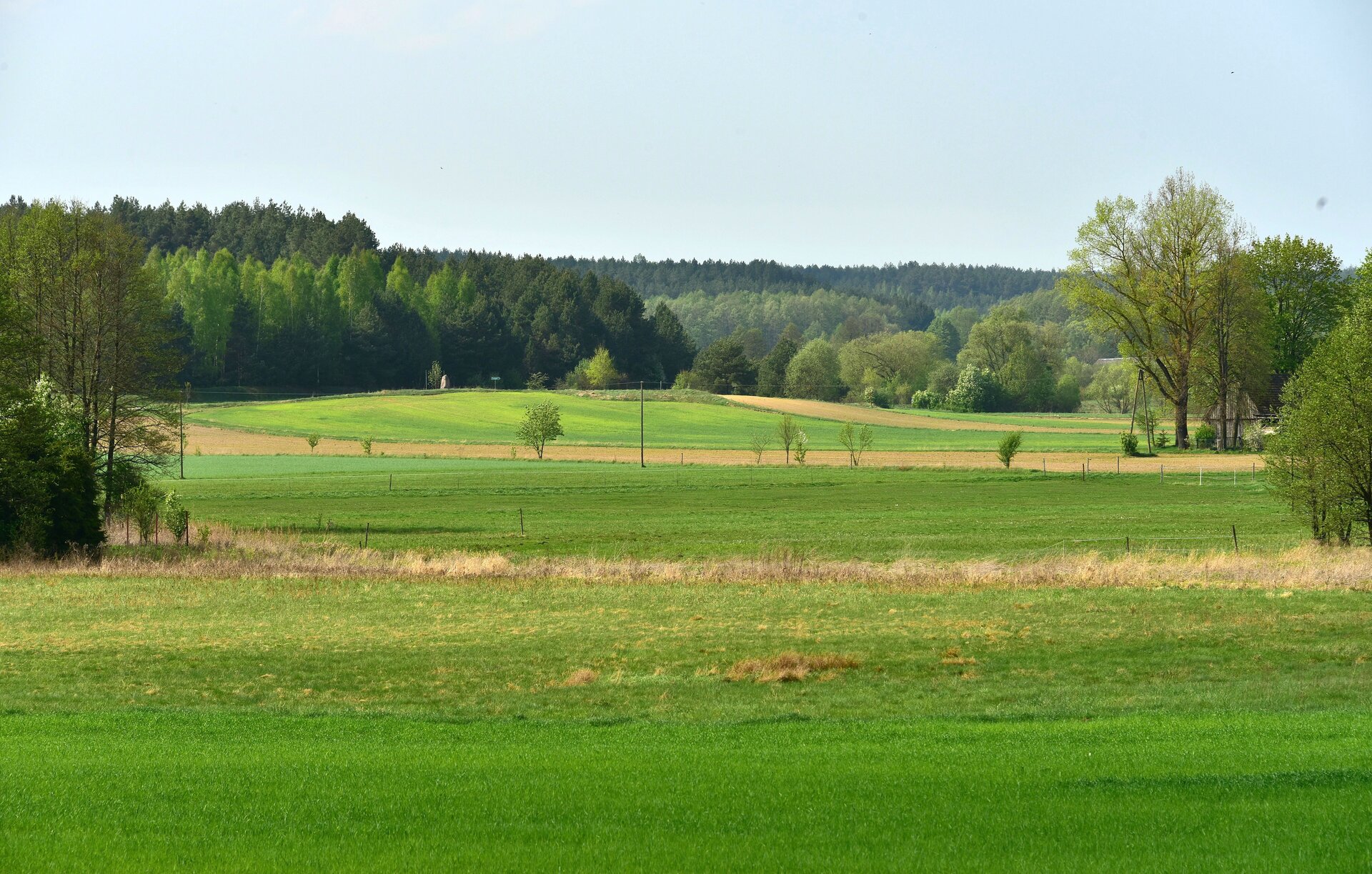 Fotografia przedstawia rozległy zielony teren porośnięty trawą. W oddali widoczne drzewa.