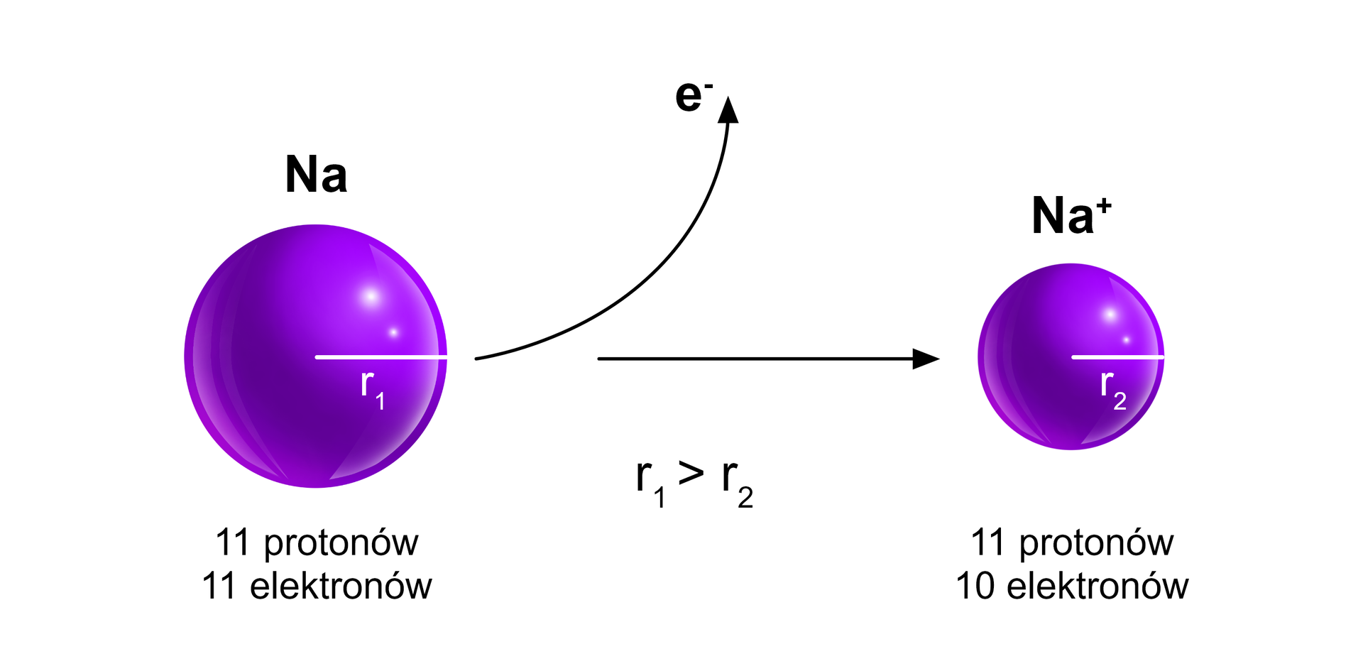 Na ilustracji przedstawiono dwie fioletowe kulki oddzielone strzałką skierowaną w prawo i podpisane: ta po lewej <math aria‑label="N a">Na, po prawej Na+. Po lewej stronie kulka ma promień r 1, i jest większa niż ta po prawej z promieniem r 2; Z atomu <math aria‑label="N a">Na usuwany jest jeden elektron. Tekst pod atomem <math aria‑label="N a">Na: 11 protonów, 11 elektronów. Tekst pod kationem Na+: 11 protonów, 10 elektronów.