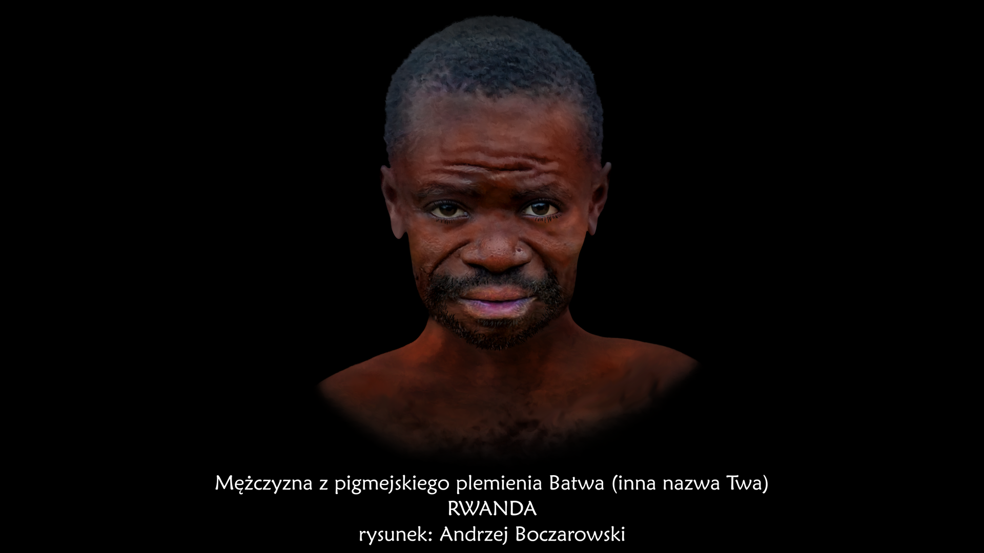 Galeria prezentuje rysunki mężczyzn zamieszkujących lasy równikowe. Rysunek pierwszy to popiersie mężczyzny o brązowej skórze z plemienia pigmejskiego. Jest to ciemnoskóry mężczyzna z wysokim zmarszczony czołem, krótkimi czarnymi włosami, szerokim nosem oraz dużymi ustami. Nad ustami widać lekki czarny zarost. Pod popiersiem znajduje się tekst: Mężczyzna z pigmejskiego plemienia Batwa (inna nazwa Twa), RWANDA, rysunek wykonał Andrzej Boczarowski.