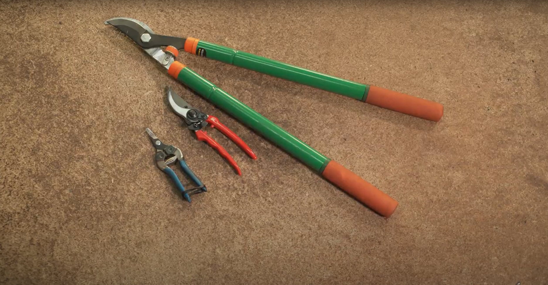 Zdjęcie przedstawia nożyce w różnych rozmiarach. Nożyce składają się z zakrzywionych części tnących i rękojeści o różnej długości. 
