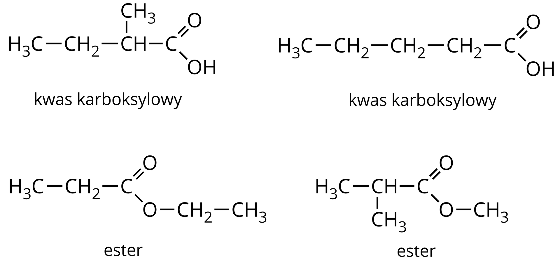 Na ilustracji znajdują się cztery wzory półstrukturalne: Kwas karboksylowy 1: do atomu węgla przyłączone są poprzez wiązania pojedyncze: grupa karboksylowa, metylowa, etylowa i atom wodoru. Kwas karboksylowy 2: Do grupy karboksylowej przyłączony jest podstawnik butylowy C H 3 C H 2 C H 2 C H 2 − . Ester 1: propionian etylu – C H 3 C H 2 C O O C H 2 C H 3 . Ester 2: izobutanian metylu – C H 3 2 C H C O O C H 3 .