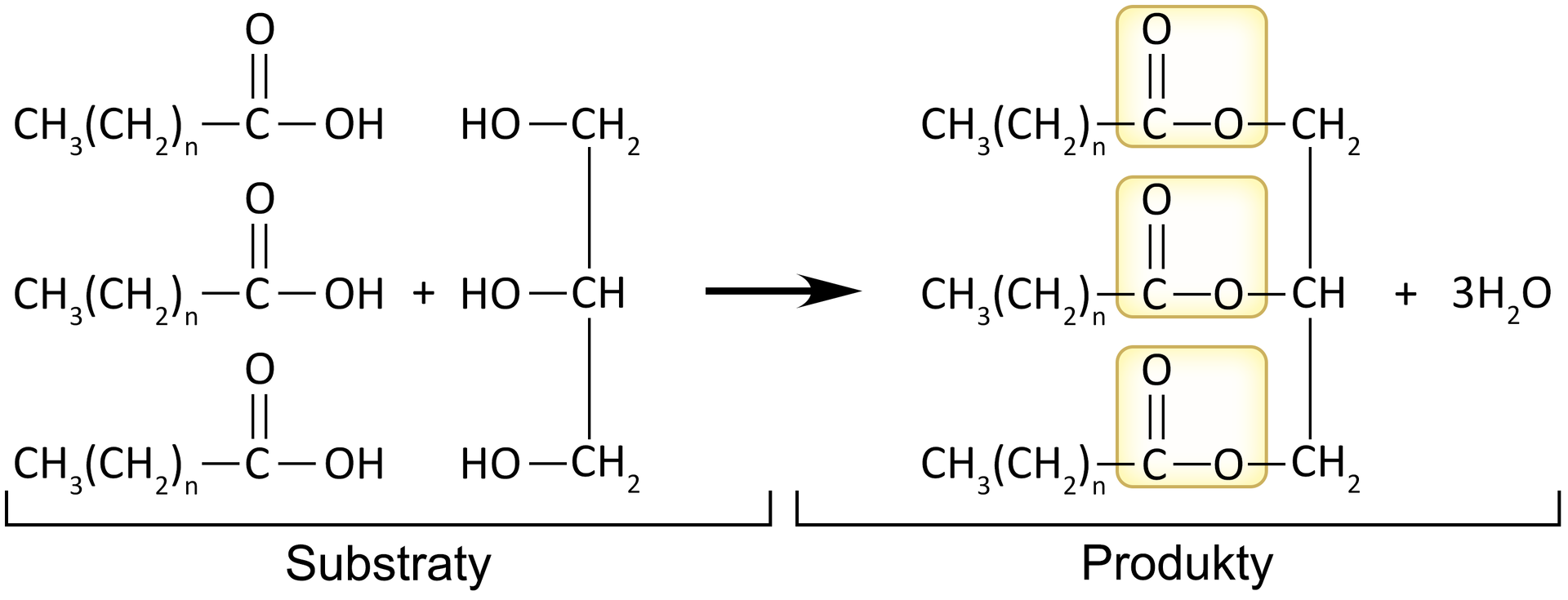 Równanie reakcji: Trzy cząsteczki kwasu tłuszczowego dodać jedna cząsteczka glicerolu strzałka w prawo trigliceryd dodać trzy cząsteczki wody.