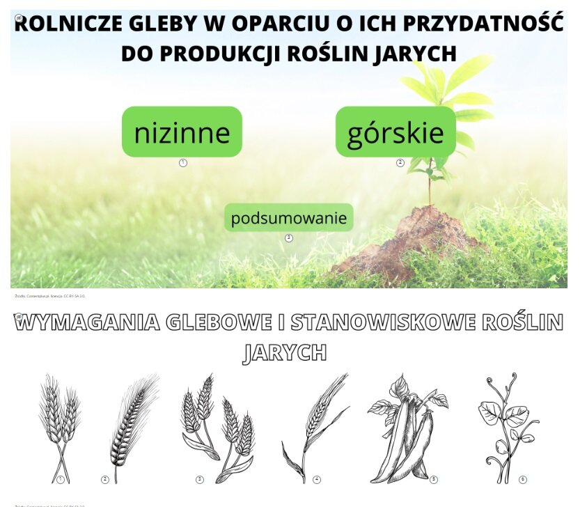 Przykładowy wygląd planszy interaktywnej. Na górze widoczna jest plansza z nagłówkiem: Rolnicze gleby w oparciu o ich przydatność do produkcji roślin jarych. Pod nagłówkiem znajdują się trzy punkty opisane jako: nizinne, górskie oraz podsumowanie. Druga część to grafika przedstawiająca sześć roślin, między innymi pszenicę, żyto i groch. Nad nimi znajduje się napis: Wymagania glebowe i stanowiskowe roślin jarych.