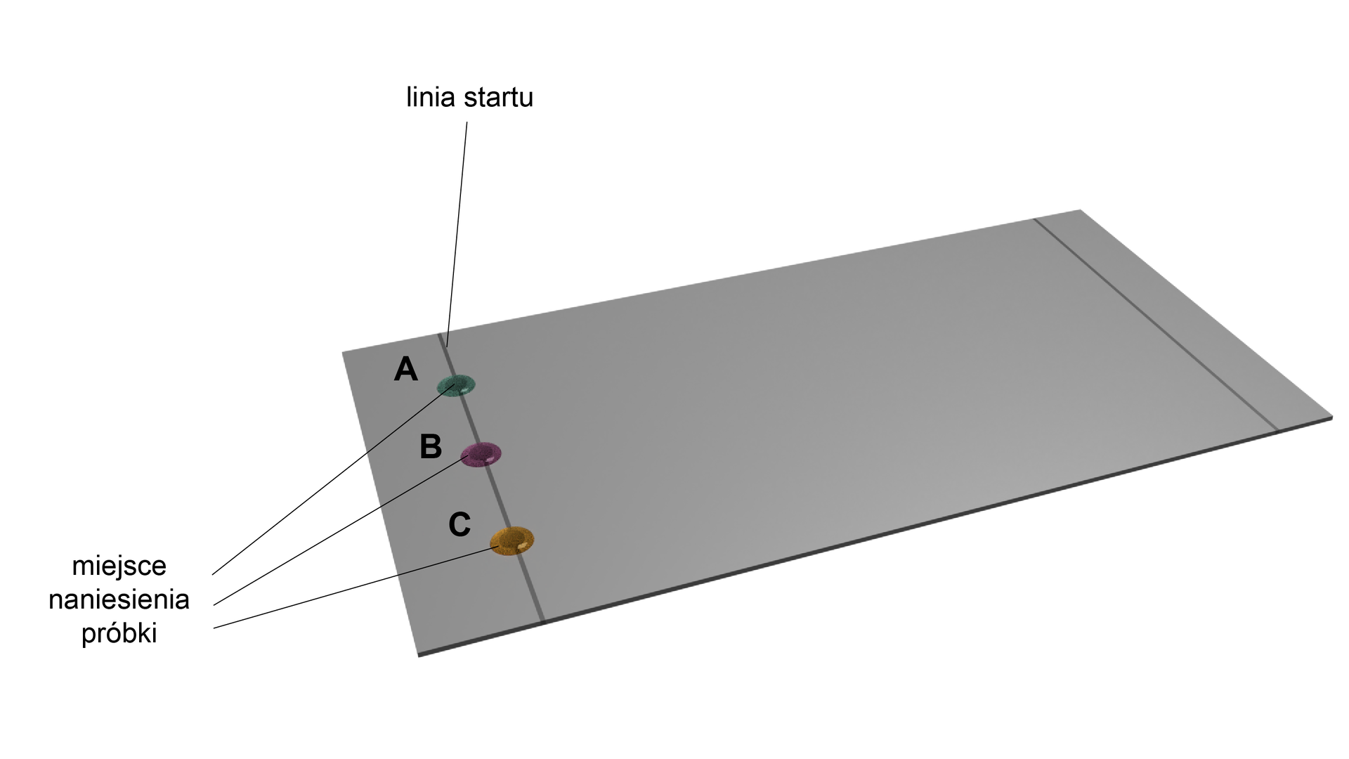 Na ilustracji znajduje się płytka. Na płytce po lewej stronie są trzy punkty z kolorami - to miejsca naniesienia próbki. Przez punkty przechodzi linia startu. Punkty oznaczono jako A, B i C. W punkcie A znajduje się kolor zielony, w punkcie B kolor fioletowy, w punkcie C kolor żółty. 