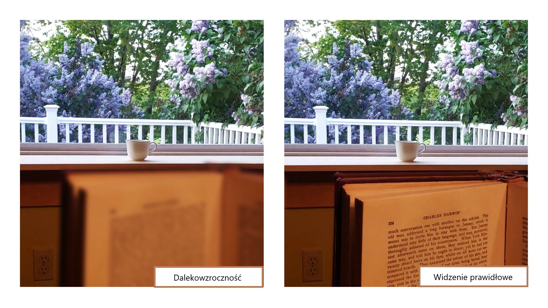 Obraz przedstawia dwa zdjęcia. Z lewej obraz widziany przez osobę dalekowzroczną. Obiekty w oddaleniu są wyraźne, a te leżące blisko (książka) rozmazane. Z prawej strony obraz widziany przez osobę o prawidłowym widzeniu. Wszystkie obiekty są wyraźne.