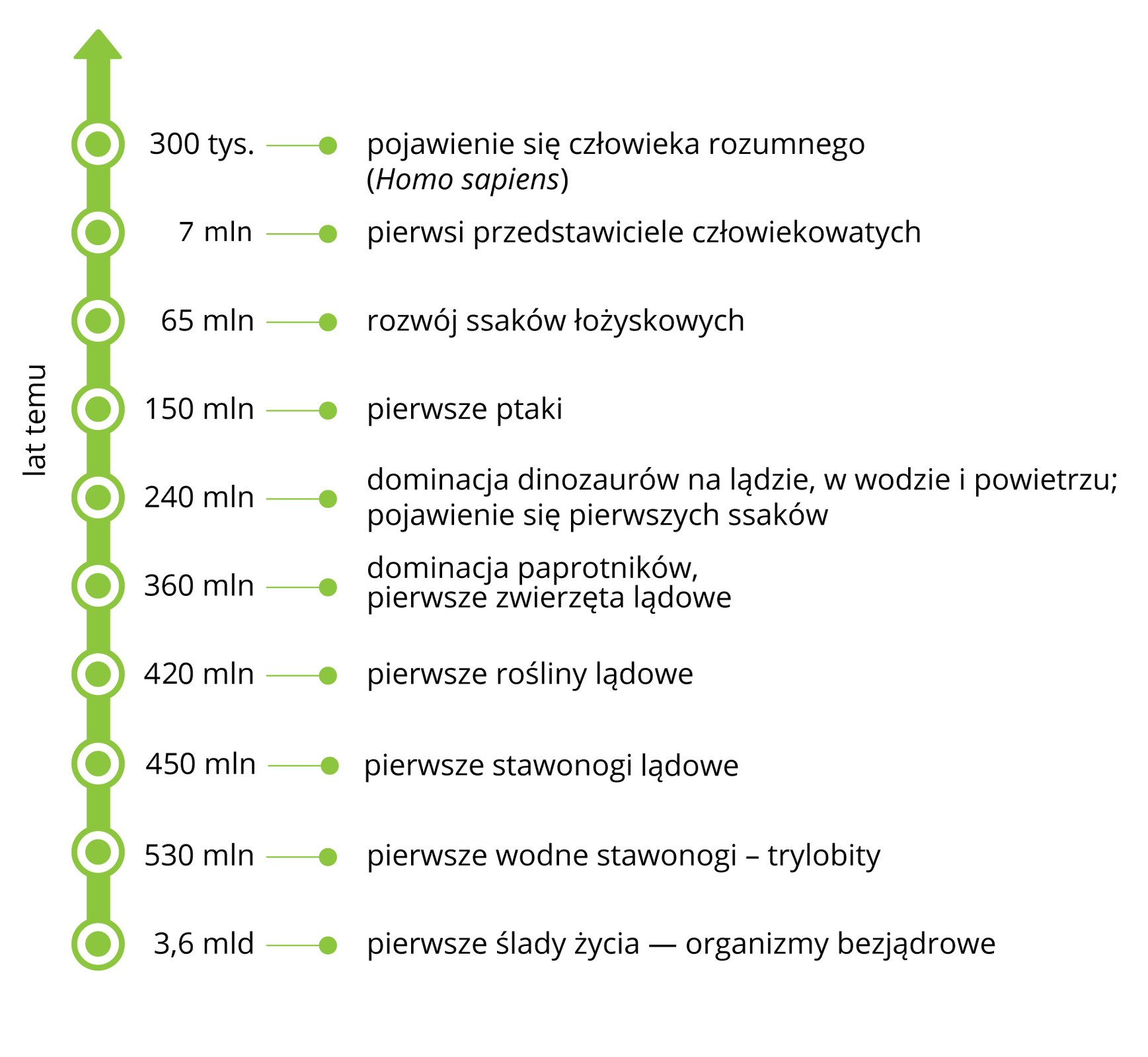 Linia czasu, na której umieszczono wybrane wydarzenia z historii życia na Ziemi. 300 tys. pojawienie się człowieka rozumnego – Homo sapiens, 7 mln – pierwsi przedstawiciele człowiekowatych, 65 mln – rozwój ssaków łożyskowych, 150 mln – pierwsze ptaki, 240 mln – dominacja dinozaurów na lądzie, w wodzie i powietrzu, pojawienie się pierwszych ssaków, 360 mln – dominacja paprotników, pierwsze zwierzęta lądowe, 420 mln – pierwsze rośliny lądowe, 450 mln – pierwsze stawonogi lądowe, 530 mln – pierwsze wodne stawonogi – trylobity, 3,6 mld – pierwsze ślady życia – organizmy bezjądrowe.