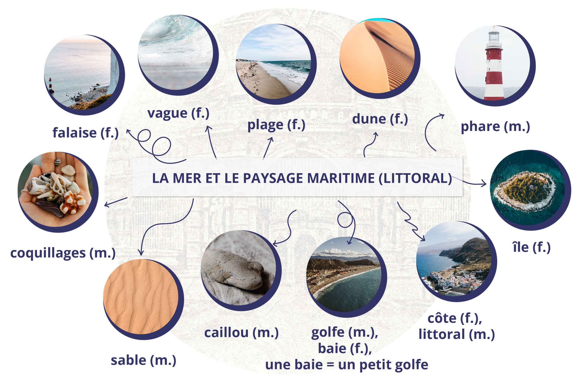 Ilustracja przedstawia słownik obrazkowy zbierający słownictwo związane z morzem i pejzażem morskim. Tytuł grafiki: La mer et le paysage maritime (littoral). Słownictwo: une falaise - klif, une vague - fala, une plage - plaża, une dune - wydma, une phare - latarnia morska, une île - wyspa, une côte/un littoral - wybrzeże, un golfe/une baie - zatoka, une baie = un petit golfe, un sable - piasek, des coquillages - muszelki.