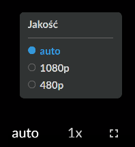 Panel zmiany jakości filmu. Na panelu widać trzy opcje ustawienia jakości: auto, tysiąc osiemdziesiąt pe i czterysta osiemdziesiąt pe. Zaznaczona jest opcja auto. Poniżej widoczne są trzy przyciski ustawień: jakości, prędkości odtwarzania i pełnego ekranu.