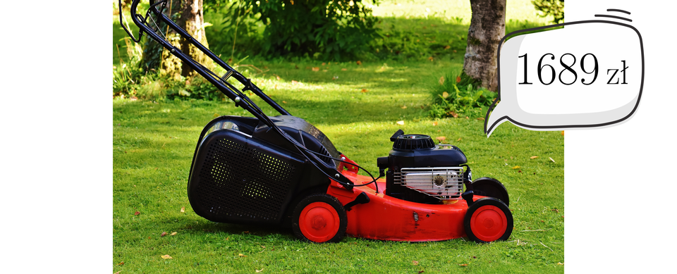 Zdjęcie przedstawia ogród, na środku którego stoi kosiarka spalinowa. Po jej prawej stronie umieszczony jest dymek z ceną 1689 złotych.