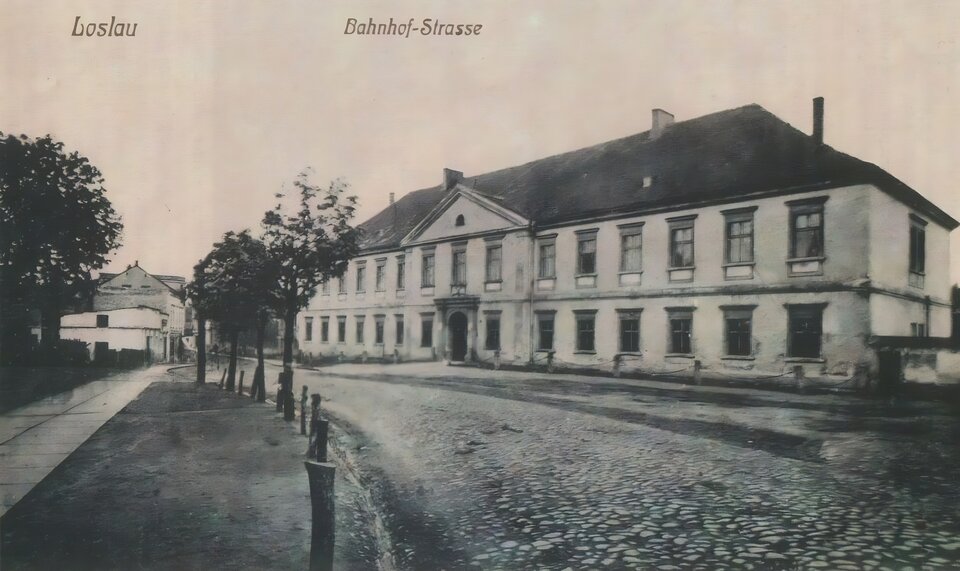 Zdjęcie przedstawia ścianę frontową i boczną pałacu Dietrichsteinów w Wodzisławiu w 1909 roku. Jest to murowany budynek piętrowy na planie wydłużonego prostokąta. Jego fasada jest symetryczna, ze słabo zaznaczonym ryzalitem wejściowym. Parter jest wydzielony gzymsem. Okna są obramione, nad nimi belkowanie. Ryzalit wejściowy jest zwieńczony trójkątnym przyczółkiem z kartuszem herbowym. Portal  jest zamknięty półkoliście, flankowany zdwojonymi pilastrami dźwigającymi przełamujące się belkowanie. Dach czterospadowy i dwuspadowy jest pokryty dachówką. Pałac stoi przy brukowanej drodze, po obu stronach drogi słupy, w tle drzewa i budynki. 