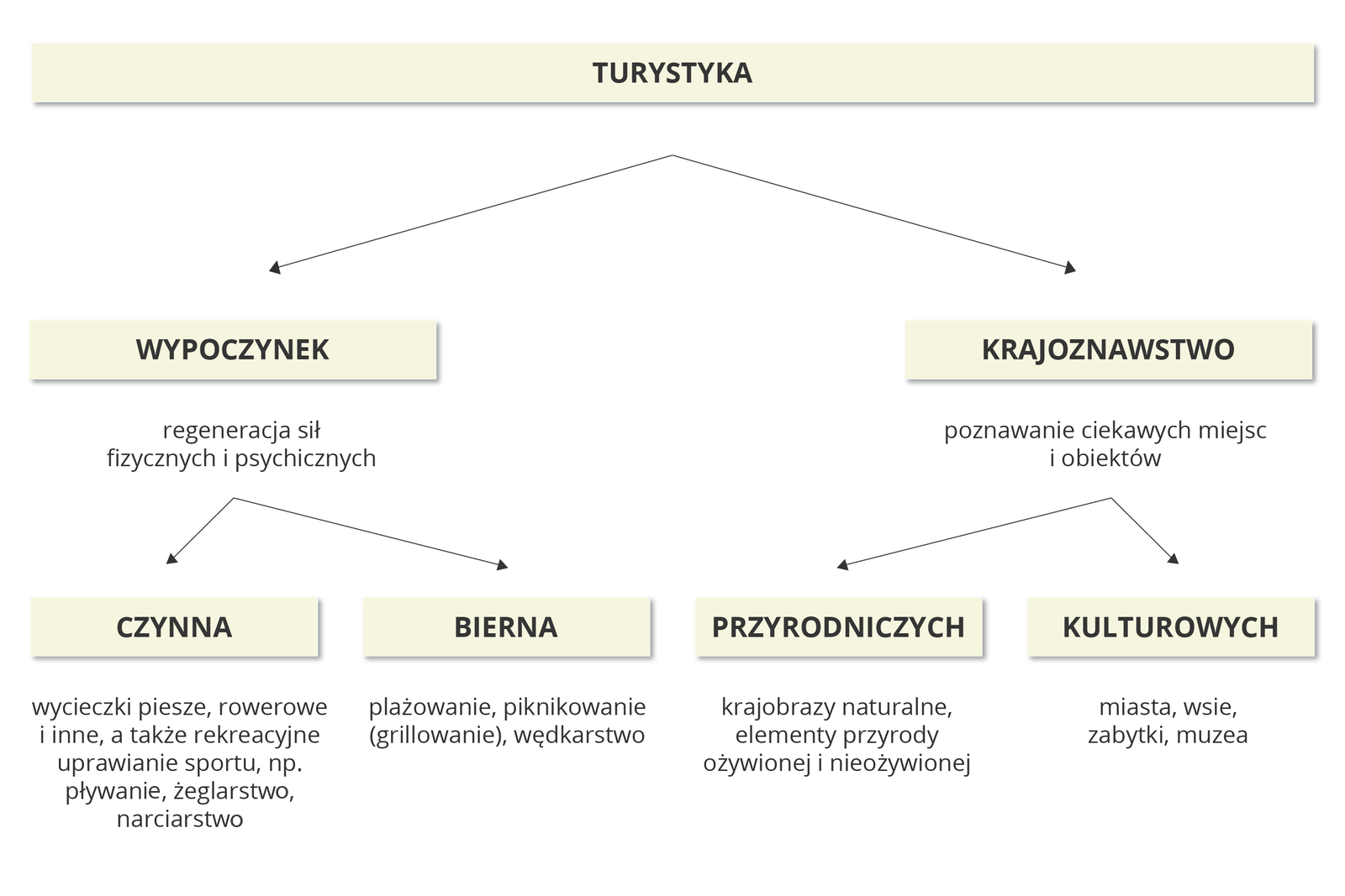 Na ilustracji schemat prezentujący podział turystyki na jej główne rodzaje wraz z krótkimi objaśnieniami.
Turystyka dzieli się na wypoczynek i krajoznawstwo.
Wypoczynek to regeneracja sił fizycznych i psychicznych. Może być czynna (wycieczki piesze, rowerowe i inne, a także rekreacyjne uprawianie sportu, na przykład pływanie, żeglarstwo, narciarstwo lub bierna – plażowanie, piknikowanie (grillowanie), wędkarstwo.
Krajoznawstwo to poznawanie ciekawych miejsc i obiektów. Miejsca i obiekty dzielą się na przyrodnicze (krajobrazy naturalne, elementy przyrody ożywionej i nieożywionej) oraz na kulturowe – miasta, wsie, zabytki, muzea.