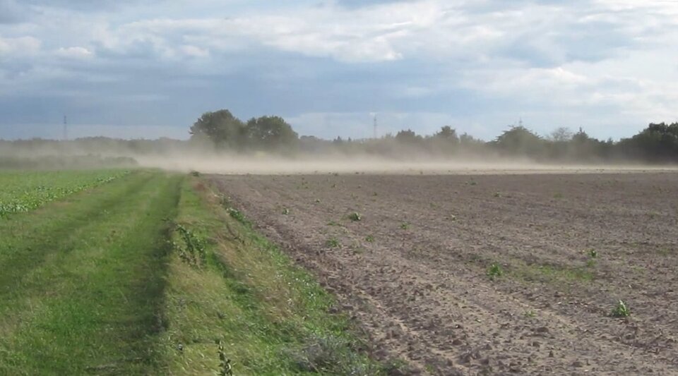 Ilustracja przedstawia cząsteczki gleby unoszone przez wiatr nad polem uprawnym. Po lewej stronie zdjęcia widać pas zieleni, po prawej grunt rolny. W oddali pojedyncze drzewa.