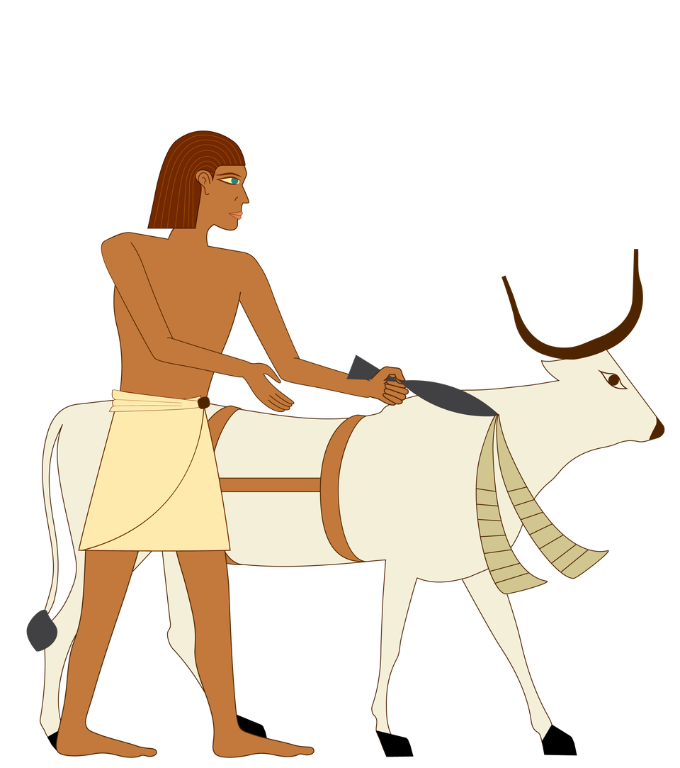 Ilustracja przedstawia sylwetkę chłopa ukazaną z profilu. Obok niego stoi wół z uprzężą założoną na korpus. Mężczyzna jest bosy, na biodrach nosi tunikę. W ręku trzyma lejce służące do prowadzenia zwierzęcia.