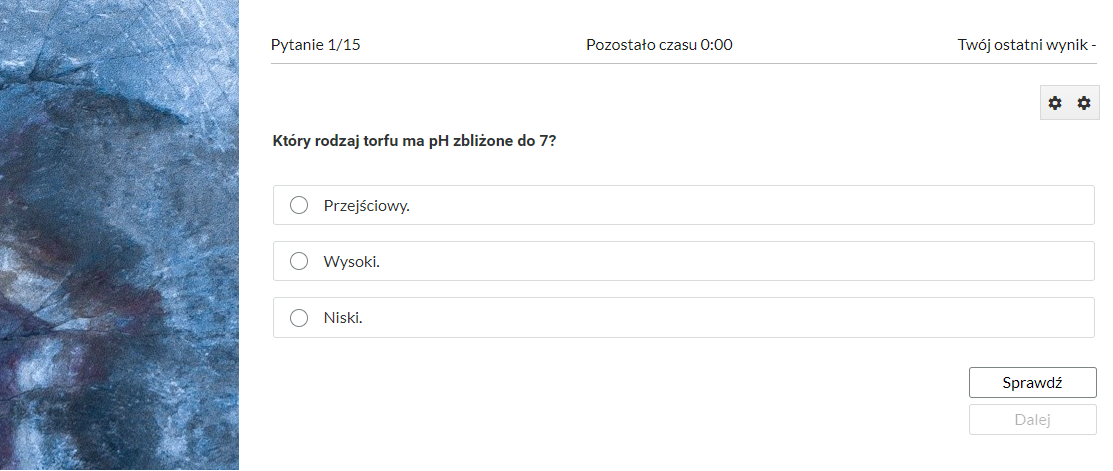 Przykładowy ekran pytania testowego