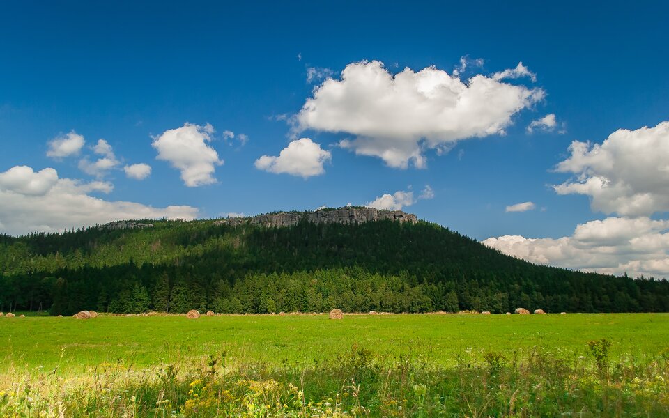 Na zdjęciu jest wzniesienie porośnięte drzewami iglastymi. Na szczycie wzniesienia są skały. Na pierwszym planie jest rozległa łąka.  