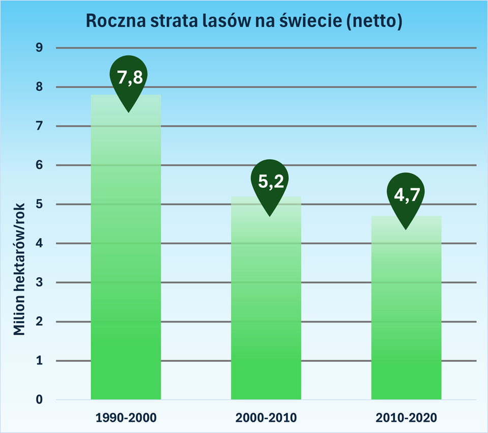 Wykres przedstawia roczne straty lasów. Na osi Y oznaczono miliony hektarów traconych lasów na rok. Na osi X oznaczono lata. W latach 1990 - 2000 roczna strata lasów na świecie netto wynosiła 7,8 milionów hektarów na rok. W latach 2000 - 2010 roczna strata lasów na świecie netto wynosiła 5,2 milionów hektarów na rok. W latach 2010 - 2020 roczna strata lasów na świecie netto wynosiła 4,7 milionów hektarów na rok. 