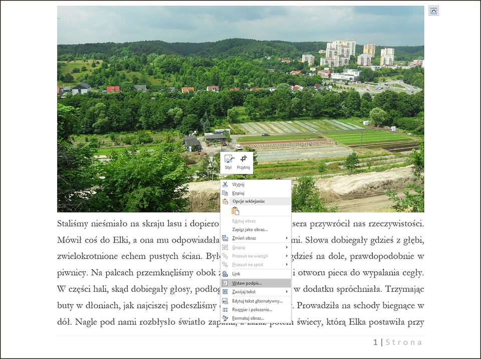 Ilustracja przedstawiająca fragment strony zawierający fotografię Gdańsk Brętowo, tekst i numer strony. Dodatkowo nad obrazem wyświetlona jest lista z opcjami. Zaznaczona jest opcja Wstaw podpis… 