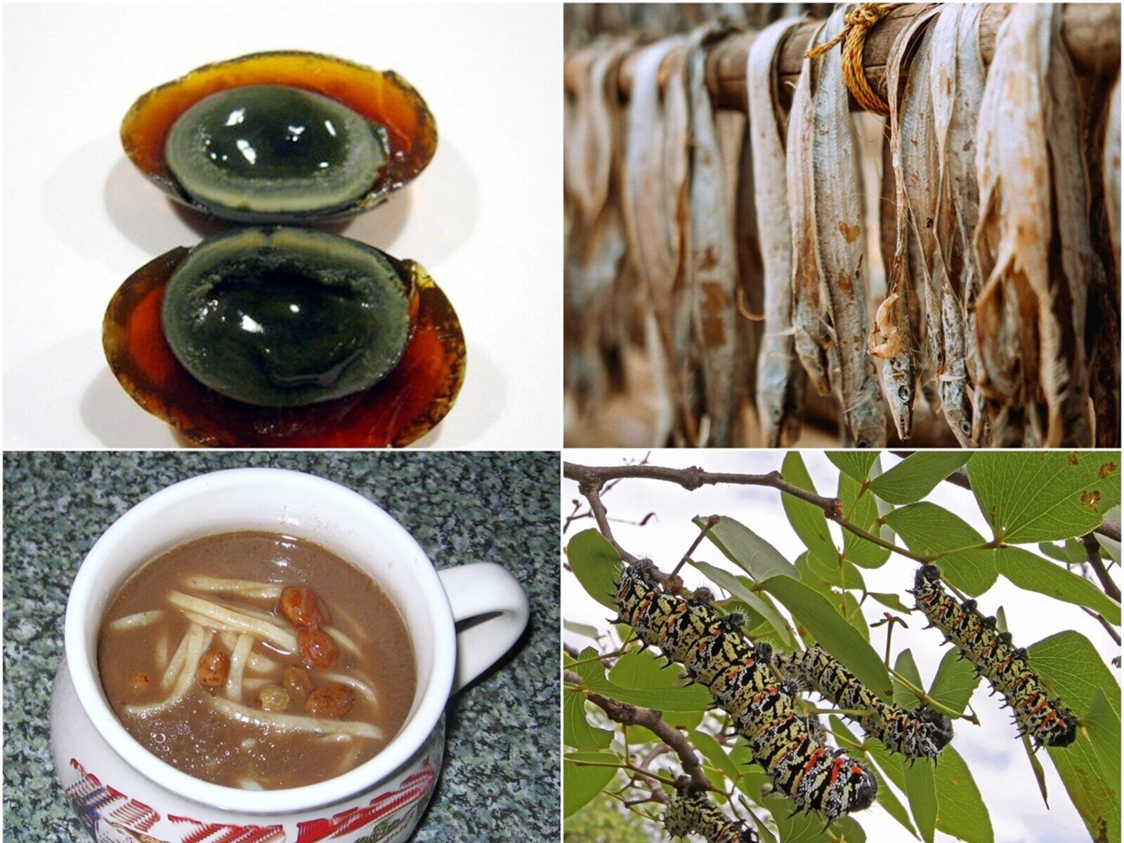 Ilustracja składa się z czterech zdjęć. Na zdjęciu w lewym górnym rogu widoczne są dwa sfermentowane jajka, z białkiem w kolorze brązowym, a żółtkiem w kolorze czarnym. Na zdjęciu w prawym górnym rogu widoczne są ryby wiszące na kiju głowami w dół. Na zdjęciu w lewym dolnym rogu  widoczny jest biały kubek, w którym znajduje się zupa z białymi kluskami i rodzynkami. Na zdjęciu w prawym dolnym rogu widoczne są trzy kolorowe gąsienice motyla jedzące listki na gałęziach.