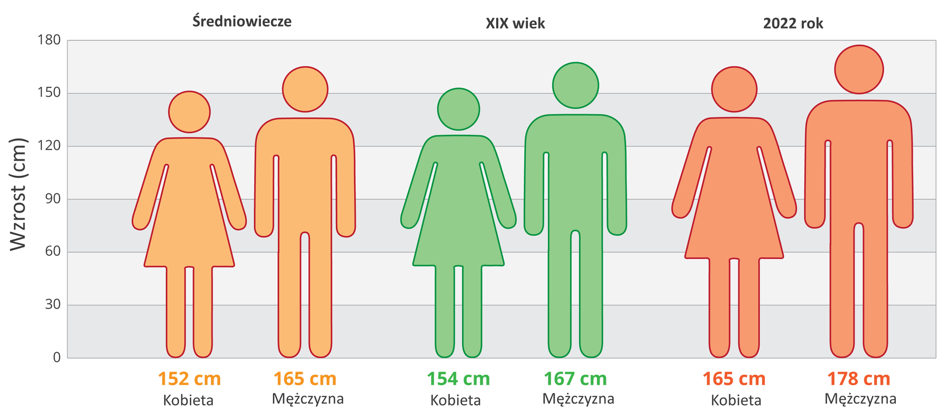 Ilustracja przestawia schematycznie porównanie wzrostu ludzi w różnych wiekach. Diagram ma szare i białe pasy, o szerokości 30 cm, od 0 do 180 cm. Podpisane z lewej wzrost w centymetrach. Pomarańczowe sylwetki ludzi ze średniowiecza. Kobieta 152 cm, mężczyzna 165 cm. Zielone sylwetki ludzi z dziewiętnastego wieku. Kobieta wzrost 154 cm, mężczyzna 167 cm. Czerwone sylwetki ludzi współczesnych, kobieta 165 cm, mężczyzna 178 cm.
