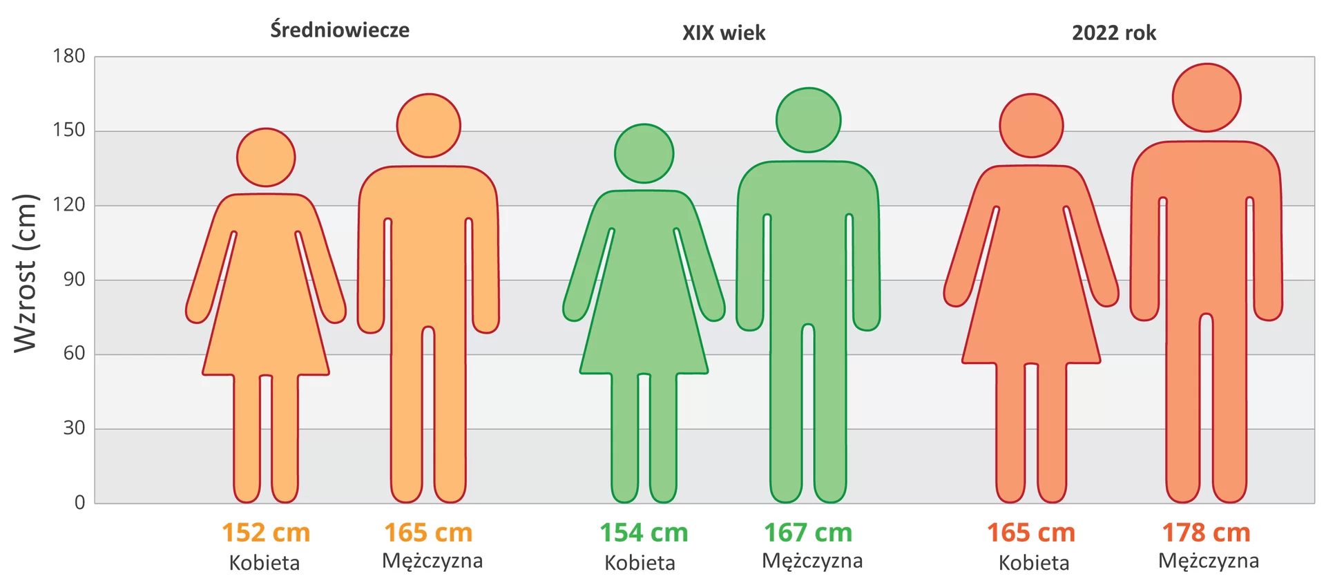 Ilustracja przestawia schematycznie porównanie wzrostu ludzi w różnych wiekach. Diagram ma szare i białe pasy, o szerokości 30 cm, od 0 do 180 cm. Podpisane z lewej wzrost w centymetrach. Pomarańczowe sylwetki ludzi ze średniowiecza. Kobieta 152 cm, mężczyzna 165 cm. Zielone sylwetki ludzi z dziewiętnastego wieku. Kobieta wzrost 154 cm, mężczyzna 167 cm. Czerwone sylwetki ludzi współczesnych, kobieta 165 cm, mężczyzna 178 cm.