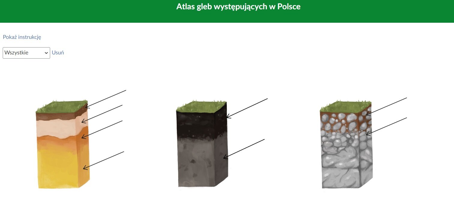 Przykładowy widok danego katalogu w atlasie. Na górnym pasku znajduje się napis: „Atlas gleb występujących w Polsce”. W lewym górnym rogu znajduje się wyszukiwarka katalogów. Poniżej widoczne są trzy grafiki z różnymi rodzajami gleb. 