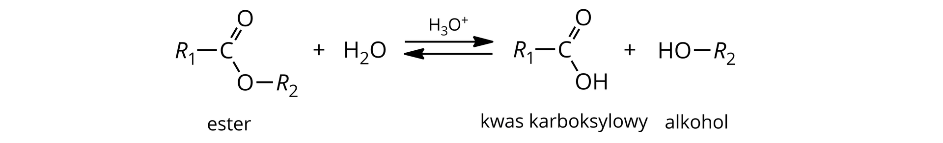 Ilustracja przedstawiająca schemat reakcji hydrolizy kwasowej estru. Cząsteczka estru zbudowana z grupy R1 związanej z atomem węgla połączonym za pomocą wiązania podwójnego z atomem tlenu i za pomocą wiązania pojedynczego z drugim atomem tlenu podstawionym grupą R2. Dodać cząsteczka wody. Strzałki równowagowe, nad strzałkami kation H3O+. Za strzałkami cząsteczka kwasu karboksylowego zbudowanego z grupy R1 związanej z atomem węgla połączonym za pomocą wiązania podwójnego z atomem tlenu oraz za pomocą wiązania pojedynczego z grupą hydroksylową OH. Dodać cząsteczka alkoholu zbudowana z podstawnika R2 połączonego z grupą hydroksylową OH.