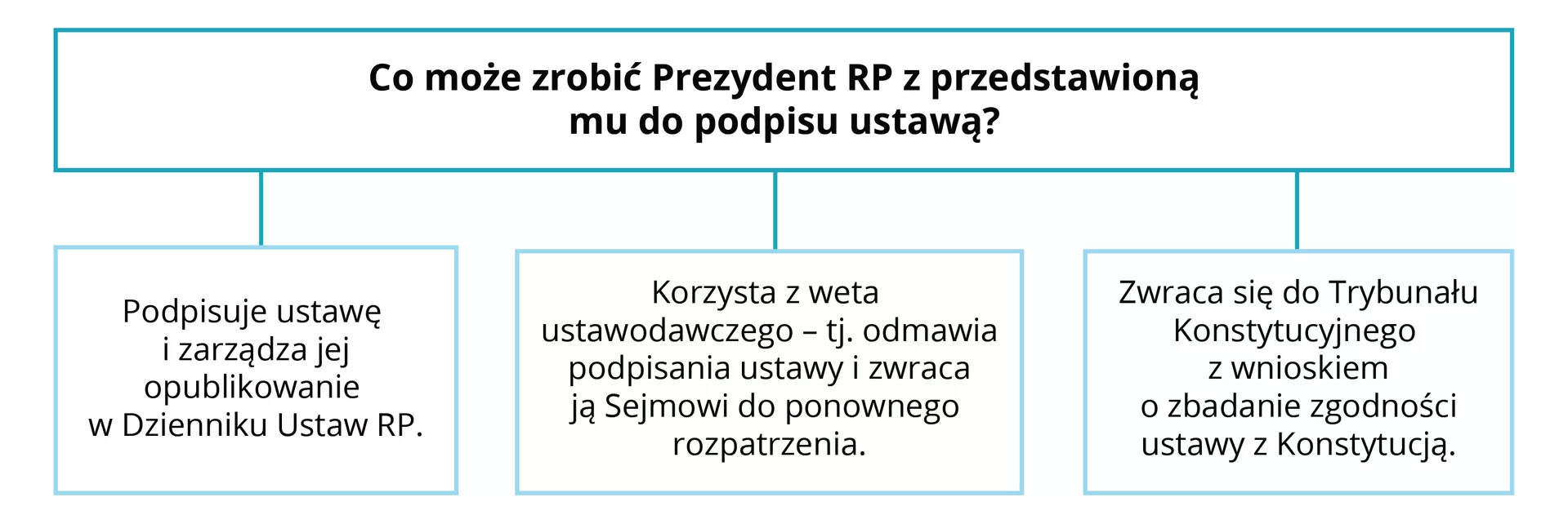 Schemat wyjaśnia co może zrobić Prezydent RP z przedstawioną mu do podpisu ustawą. Prezydent RP: 1. podpisuje ustawę i zarządza jej opublikowanie w Dzienniku Ustaw RP; 2. korzysta z weta ustawodawczego – tj. odmawia podpisania ustawy i zwraca ją Sejmowi do ponownego rozpatrzenia; 3. zwraca się do Trybunału Konstytucyjnego z wnioskiem o zbadanie zgodności ustawy z konstytucją.