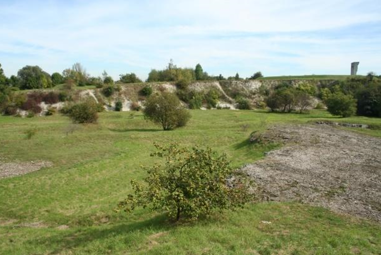 Na zdjęciu znajduje się teren płaski, na końcu którego widoczne jest długie wzniesienie, ciągnące się przez całą fotografię wzdłuż. Na płaskim terenie częściowo rośnie trawa, nieliczne niskie drzewa. Zbocza niskiego wzniesienia porastają małe krzewy.