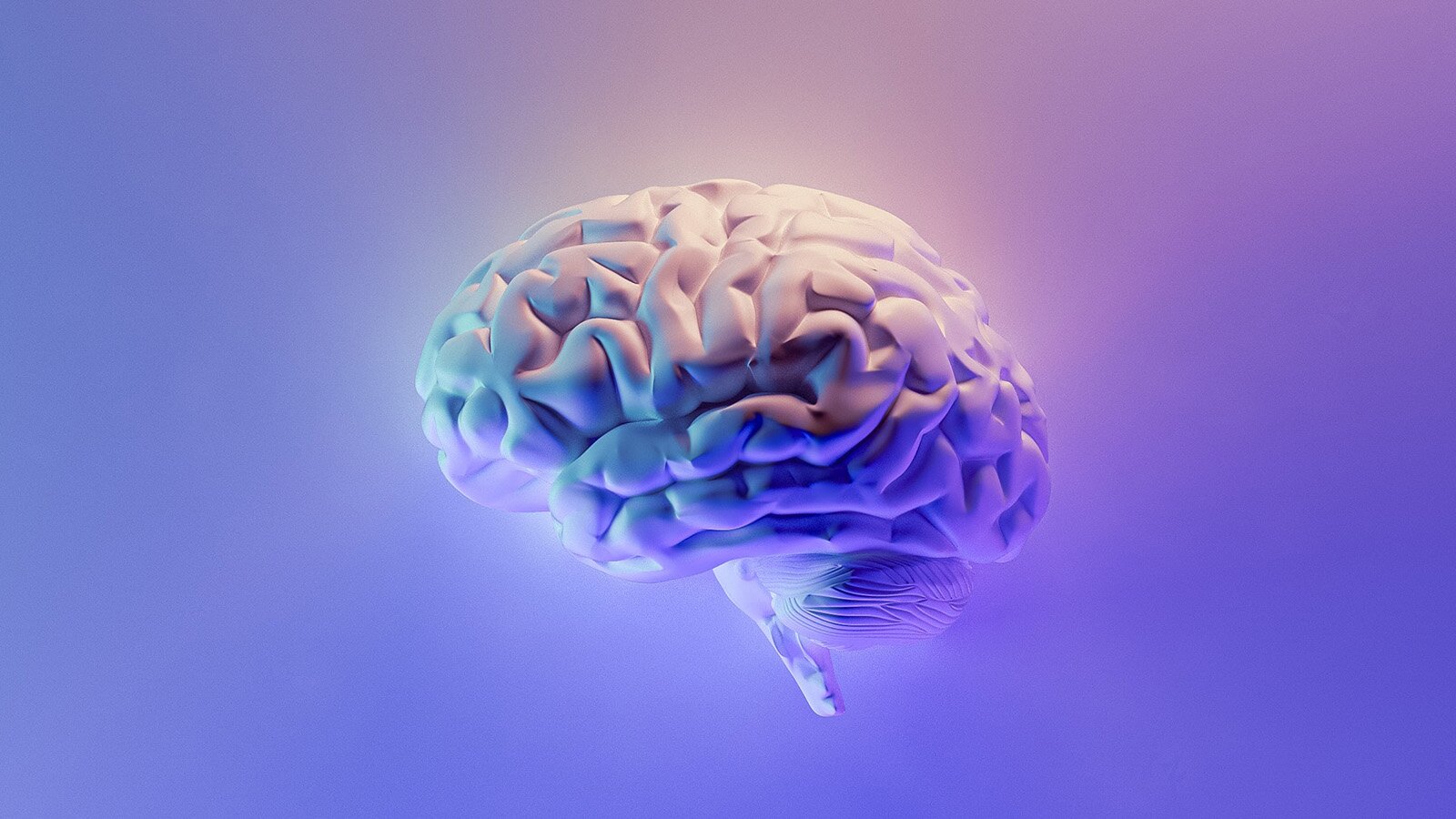 Zdjęcie przedstawia ludzki mózg. Widoczne są graficznie przedstawione zwoje. Całość zdjęcia w kolorach fioletowy, z różowymi i zielonymi odcieniami.