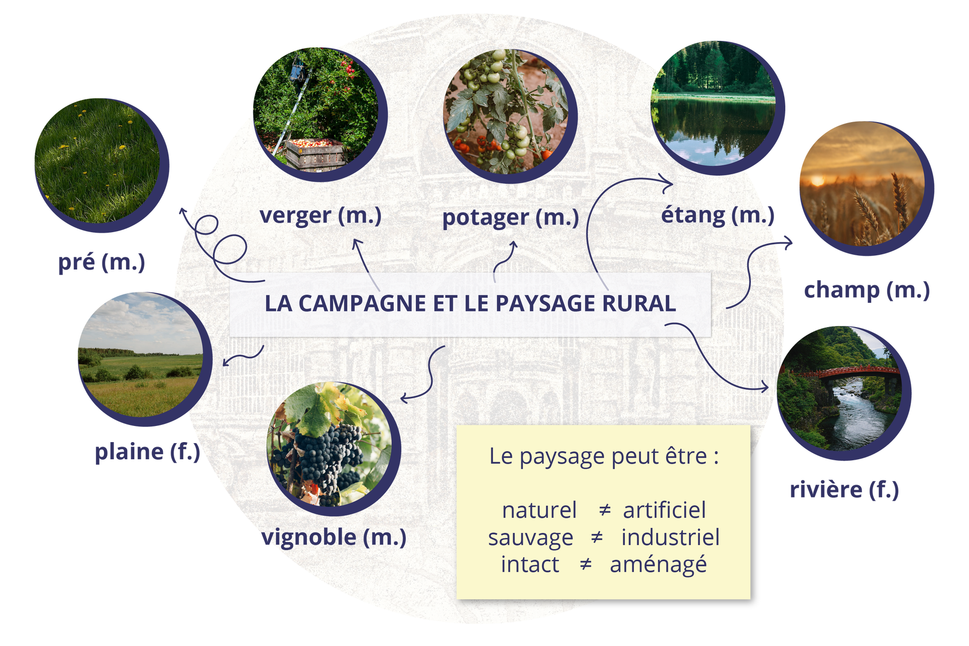 Ilustracja przedstawia słownik obrazkowy zbierający słownictwo związane ze wsią i pejzażem wiejskim. Nagłówek grafiki: La campagne et le paysage rural. Słownictwo: un pré - łąka, un verger - ogródek warzywny, un potager - sad, un étang - staw, un champ - pole, une rivière - rzeka, un vignoble - winnica, une plaine - równina. Pod słownikiem znajduje się ramka o następującej treści: Le paysage peut être : naturel ≠ artificiel, sauvage ≠ industriel, intact ≠ aménagé.