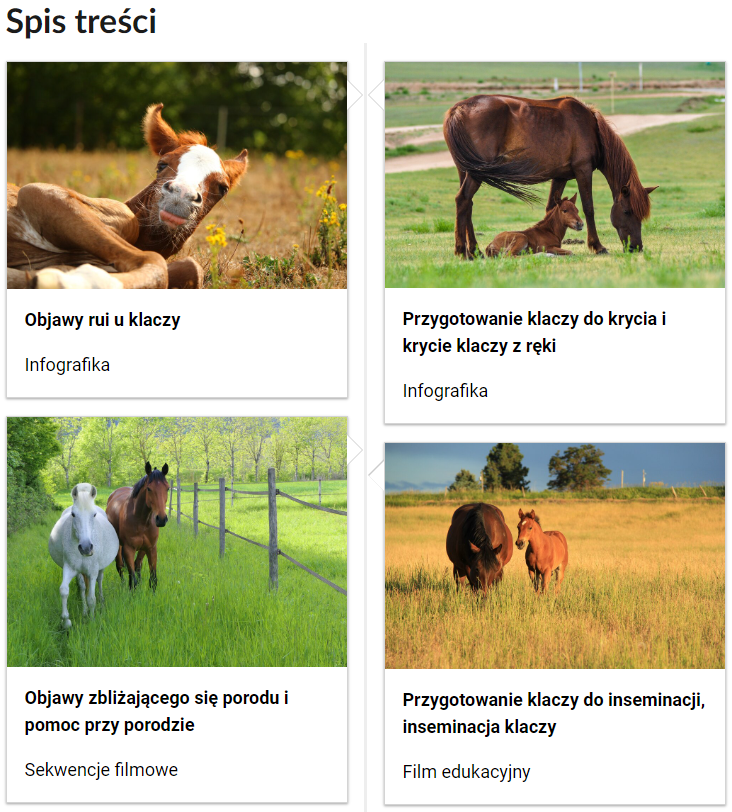 Grafika przedstawia przykładowy widok spisu treści. Widoczny jest napis: Spis treści. Poniżej znajdują się cztery kafelki. Pierwszy kafelek. Objawy rui u klaczy. Infografika. Drugi kafelek. Objawy zbliżającego się porodu i pomoc przy porodzie. Sekwencje filmowe. Trzeci kafelek. Przygotowanie klaczy do krycia i krycie klaczy z ręki. Infografika. Czwarty kafelek. Przygotowanie klaczy do inseminacji, inseminacja klaczy.