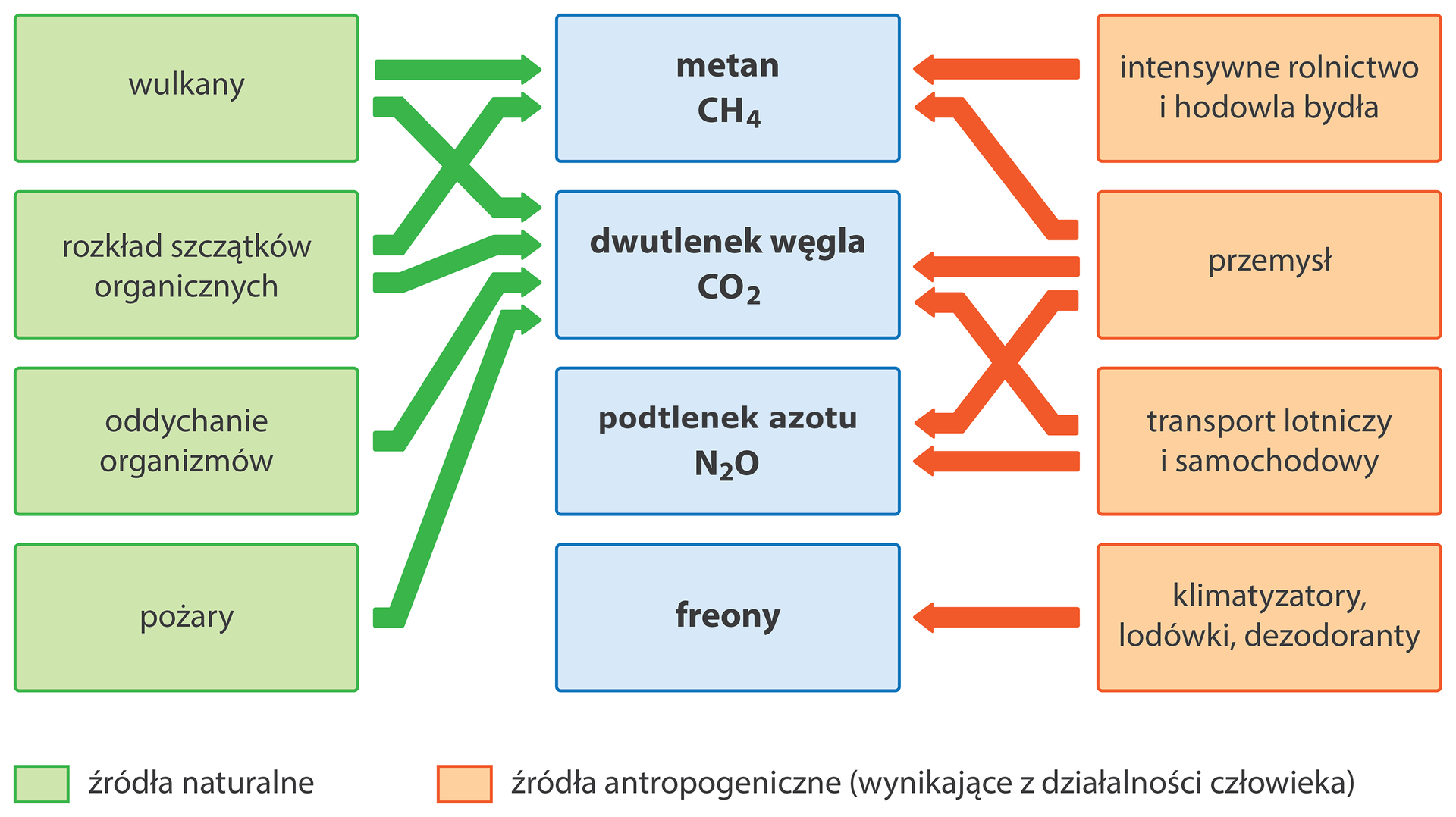 Naturalne źródła gazów to wulkany, rozkład szczątków organicznych, oddychanie organizmów, pożary. źródła antropogeniczne to rolnictwo i hodowla bydła, przemysł, transport, klimatyzatory.