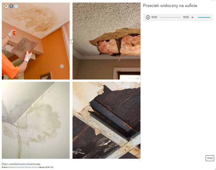 Przykładowy wygląd wyświetlania opisów umieszczonych pod znacznikami