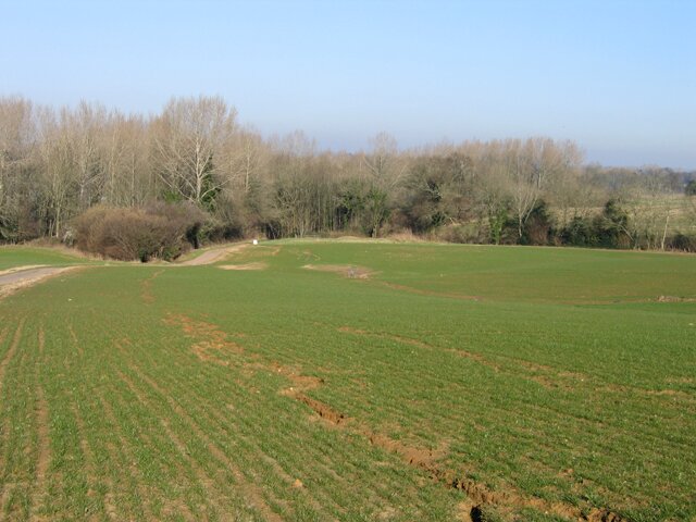 Fotografia przedstawia stok użytkowany rolniczo, na którym widoczne są wyraźne ślady erozji wodnej. Przez powierzchnię pola biegną równoległe, wąskie rozcięcia i bruzdy utworzone przez spływającą po stoku wodę opadową. Zjawisko to pokazuje erozję żłobinową, prowadzącą do wynoszenia cząstek gleby i niszczenia warstwy uprawnej. Zdjęcie dobrze ilustruje, jak spływ powierzchniowy na nachylonym terenie może przyczyniać się do degradacji gleb.