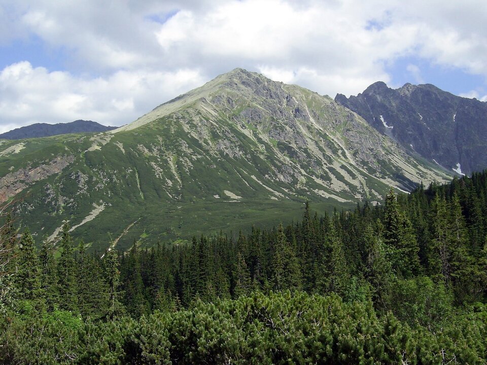 Zdjęcie przedstawia górski szczyt w otoczeniu lasu iglastego. Na zboczach rosną drobne rośliny i trawy, niżej są wszelkiego rodzaju drzewa iglaste jak sosny, świerki, a na pierwszym planie znajdują się krzewy iglaste. Ukazano piętrowość roślinną.