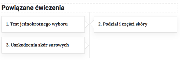 Grafika przedstawia przykładowe powiązane ćwiczenia. W trzech prostokątnych ramkach tytuły ćwiczeń. Jeden. Test jednokrotnego wyboru. Dwa. Podział i części skóry. 3. Uszkodzenia skór surowych.