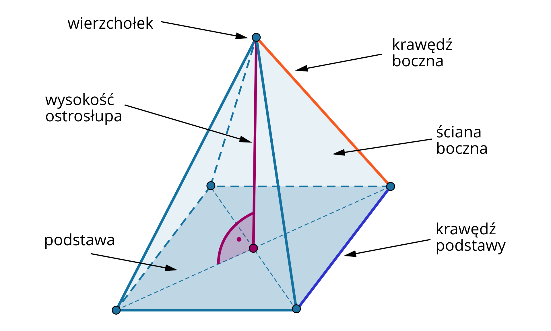 Na rysunku przedstawiono ostrosłup prosty. Wewnątrz bryły opuszczono prostą prostopadła do podstawy i podpisano ją wysokość ostrosłupa. Zaznaczono na rysunku również górny wierzchołek, krawędź boczną ścianę boczną, podstawę oraz ścianę boczną. Podstawa bryły jest w kształcie prostokąta. Krawędź boczna, ściana boczna oraz krawędź podstawy została zaznaczona po prawej stronie bryły.