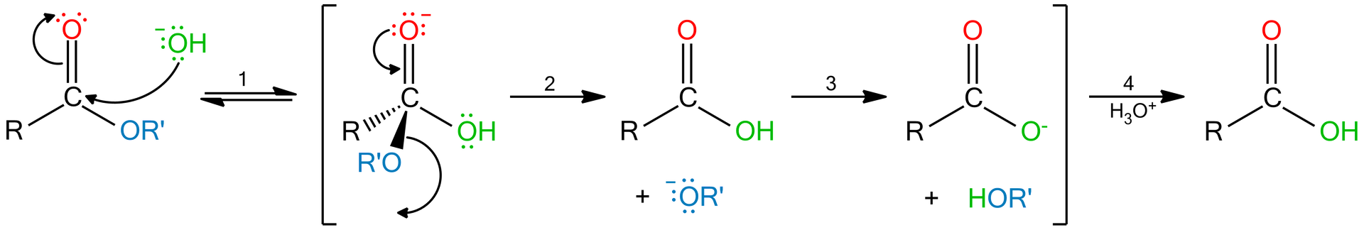 Schemat mechanizmu substytucji nukleofilowej. Na schemacie pokazano kolejne etapy mechanizmu. We wzorze: atom węgla połączony wiązaniem podwójnym z atomem tlenu, połączony z R i OR', po prawej stronie jest anion wodorotlenkowy ze strzałką prowadzącą w kierunku atomu węgla. W pierwszym etapie jon wodorotlenkowy łączy się z opisaną cząsteczką. Atom tlenu jest zaznaczony jako anion. W czasie drugiego etapu odłącza się jon - anion OR’. Wzór jest teraz następujący: atom węgla łączy się u góry wiązaniem podwójnym z atomem tlenu, a na dole z R i OH. Pod wzorem jest zapis: + indeks górny minus OR'. W trzecim etapie wzór cząsteczki jest następujący: atom węgla łączy się u góry wiązaniem podwójnym z atomem tlenu, na dole z R oraz z anionem tlenu. Do odłączonego w etapie drugim OR' dołącza H, dając HOR'. W czwartym etapie pod wpływem jonu oksoniowego powstaje cząsteczka o wzorze: atom węgla łączy się u góry wiązaniem podwójnym z atomem tlenu, a na dole z R i OH.  .