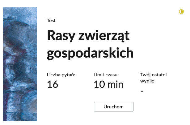 Grafika przedstawia przykładowy wygląd panelu testu. Składa się on z tytułu testu, informacji o liczbie pytań, czasie, w którym należy rozwiązać test, oraz o ostatnim uzyskanym wyniku. Poniżej widać przycisk Uruchom.