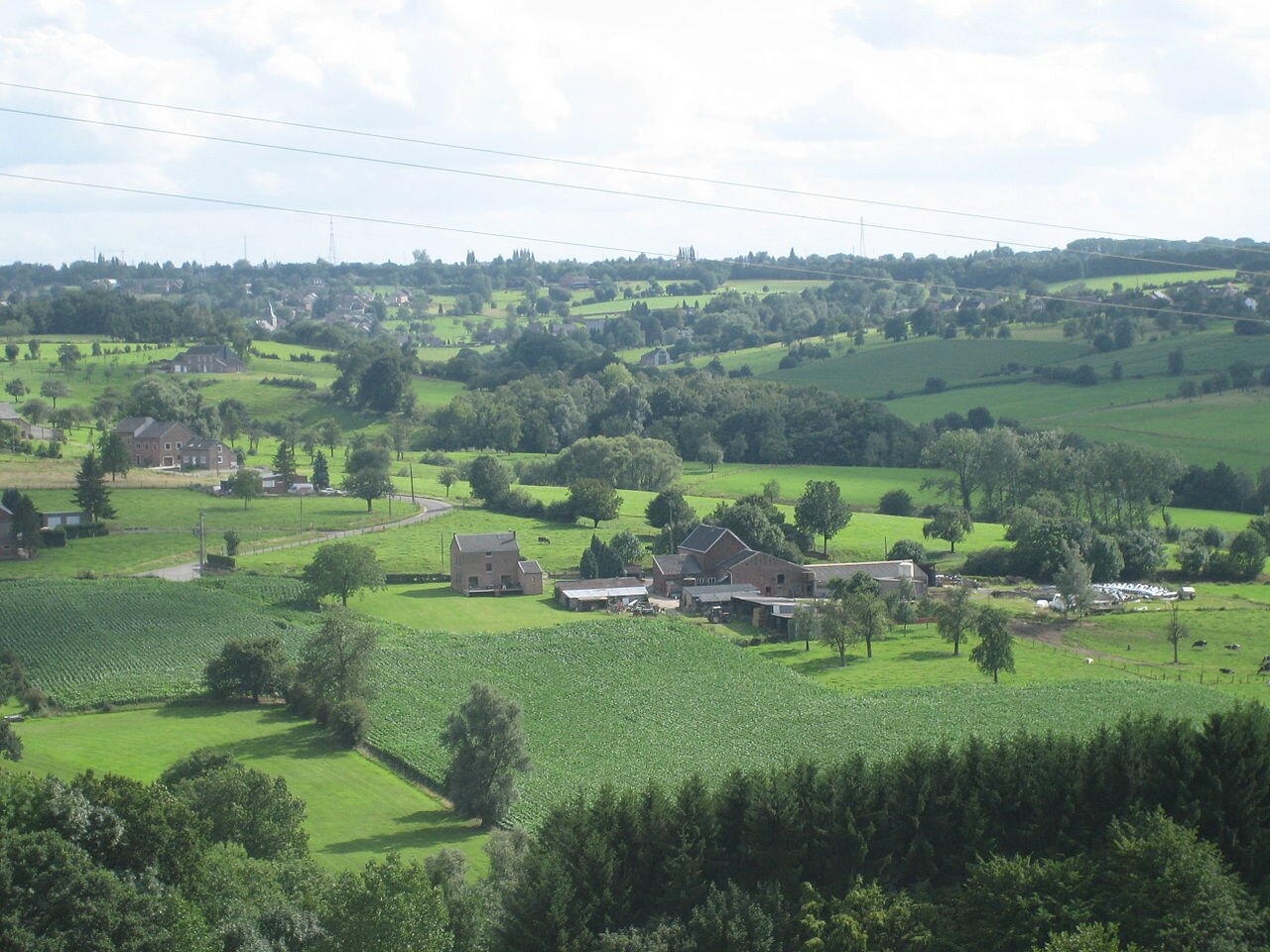 Ilustracja przedstawia krajobraz wsi w Belgii. Są na nim niewielkie wzgórza, ale w większości tereny są płaskie. Na środku zdjęcia znajdują się zabudowy mieszkalne. 
