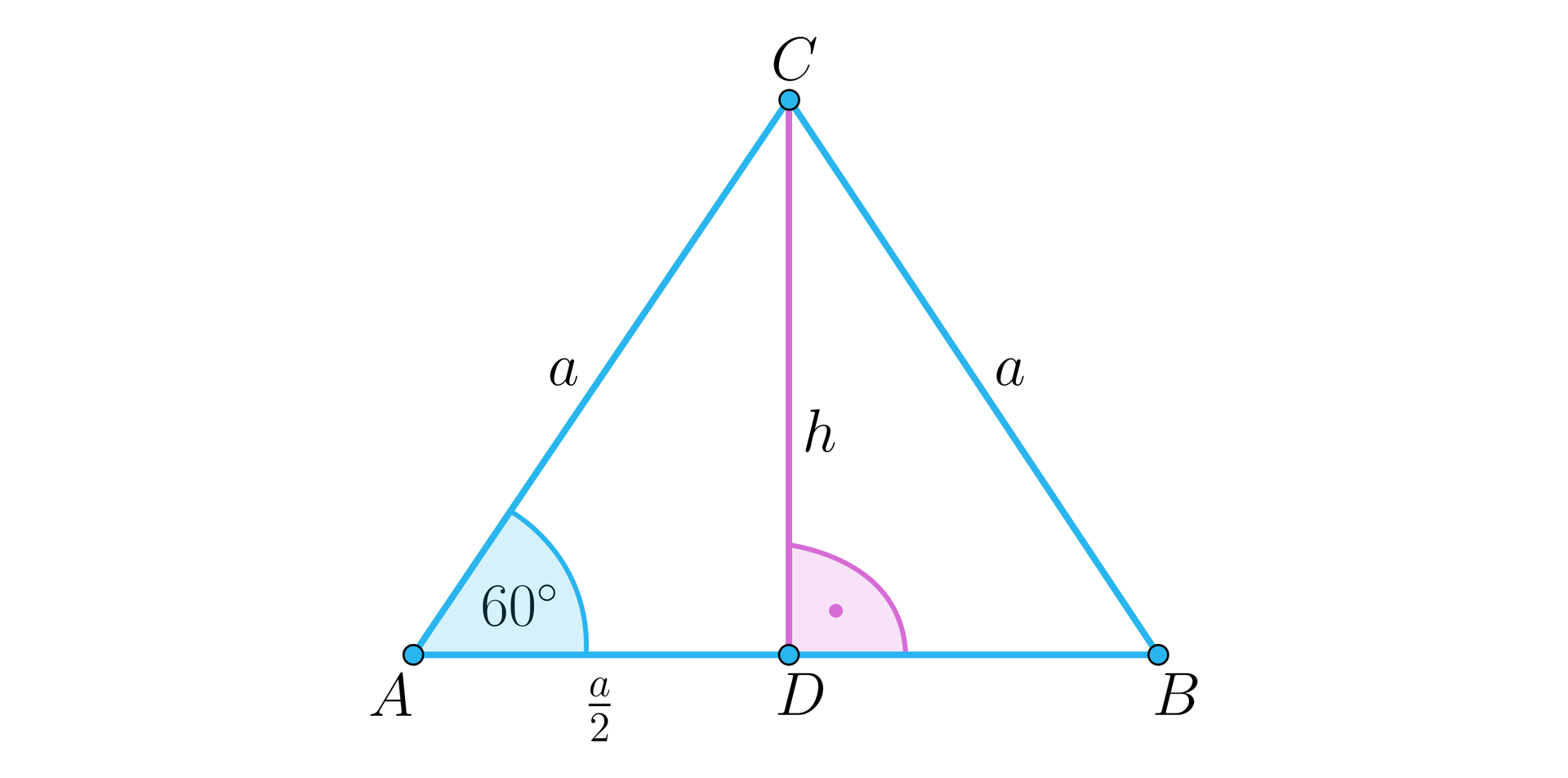 Grafika przedstawia trójkąt. Podstawa trójkąta ma wierzchołki A i B. Trzeci wierzchołek jest podpisany literą C. W trójkącie narysowana jest wysokość. Wysokość jest podpisana literą h. Miejsce w którym odcinek, będący wysokością trójkąta, łączy się z podstawą trójkąta zaznaczono literą D. Ramiona trójkąta mają długość a.  Odcinek AD ma długość początek ułamka a mianownik dwa. Wysokość jest pod kątem prostym do podstawy trójkąta. Pomiędzy podstawą trójkąta a jego ramieniem jest kąt 60 stopni. 