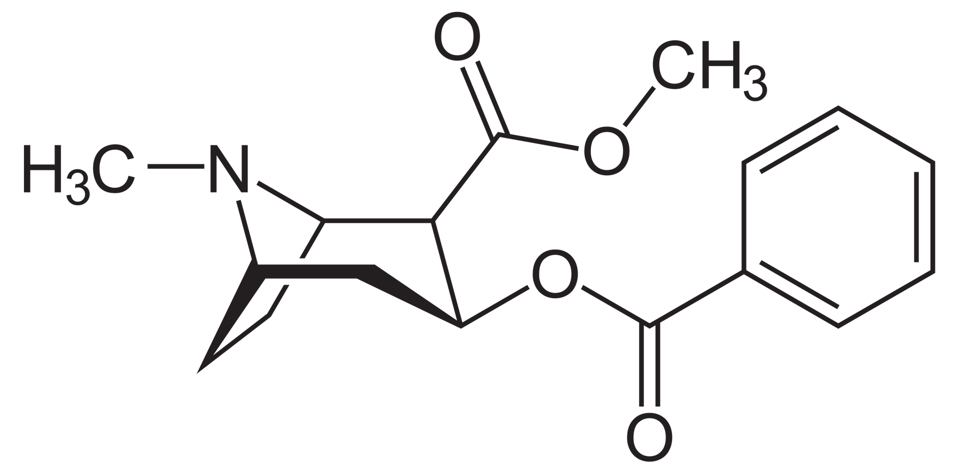 Ilustracja przedstawia wzór półstrukturalny kokainy, to jest (1R,2R,3S,5S)-3-(benzoiloksy)-8-metylo-8-azabicyclo[3.2.1]oktano-2-karboksylan metylu. Związek zbudowany jest z pierścienia fenylowego połączonego z grupą COO, związaną z azabicyklicznym fragmentem utworzonym przez sześcioczłonowy pierścień zawierający w swej strukturze atom azotu podstawiony grupą metylową. Atomy mostkowe stanowią atom azotu wraz z sąsiednimi atomami węgla i wchodzą w skład drugiego pięcioczłonowego pierścienia. Atom węgla sąsiadujący z jednym a węgli mostkowych w pierścieniu sześcioczłonowym podstawiony jest grupą estrową COO, w której atom tlenu łączy się z grupą metylową.