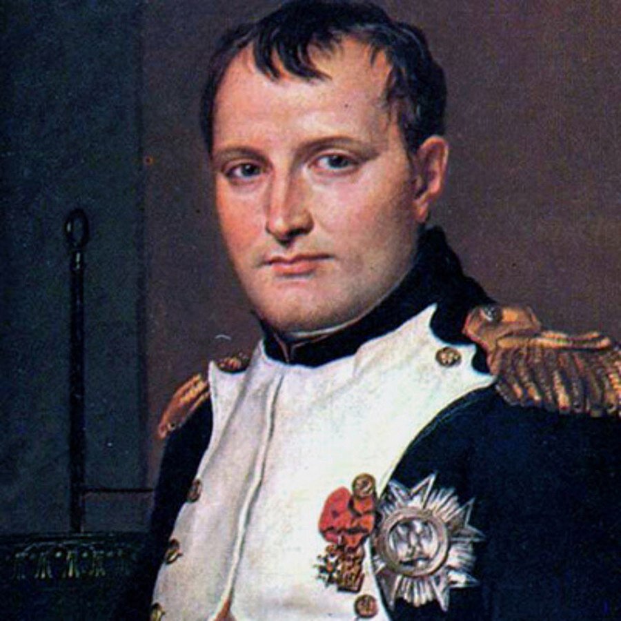 Obraz przedstawia Napoleona Bonaparte. Cesarz to młody, przystojny mężczyzna, gładko ogolony, z krótkimi, czarnymi włosami. Patrzy spokojnie, z lekkim uśmiechem na odbiorcę. Ubrany jest w granatowo - biały mundur z epoletami (specjalne ozdobne naszywki na ramionach). Na piersi liczne medale.