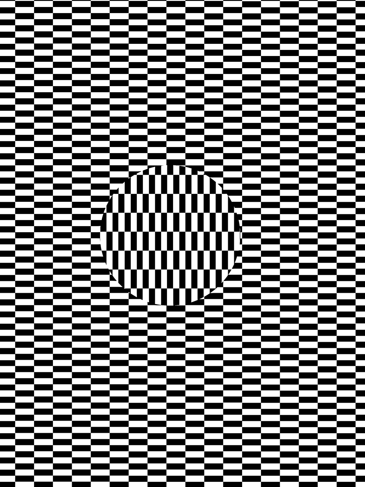 Grafika przedstawia iluzję optyczną. Składa się z dużej ilości niewielkich czarnych i białych prostokątów, ułożonych poziomo, na kształt szachownicy. Na środku znajduje się koło złożone z takich samych elementów, ale ułożonych w pionie. Osobie wpatrującej się w centralną część grafiki może wydawać się, że prostokąty się poruszają.