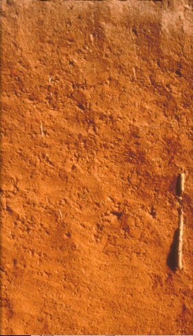 Zdjęcie przedstawia pomarańczową glebę. Odsłonięta warstwa jest dosyć gładka, jednolita.