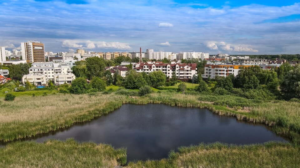 Zdjęcie przedstawia Jezioro Imielińskie. W tle widać panoramę miasta Warszawa. Jezioro otoczone jest trawiastym  terenem.