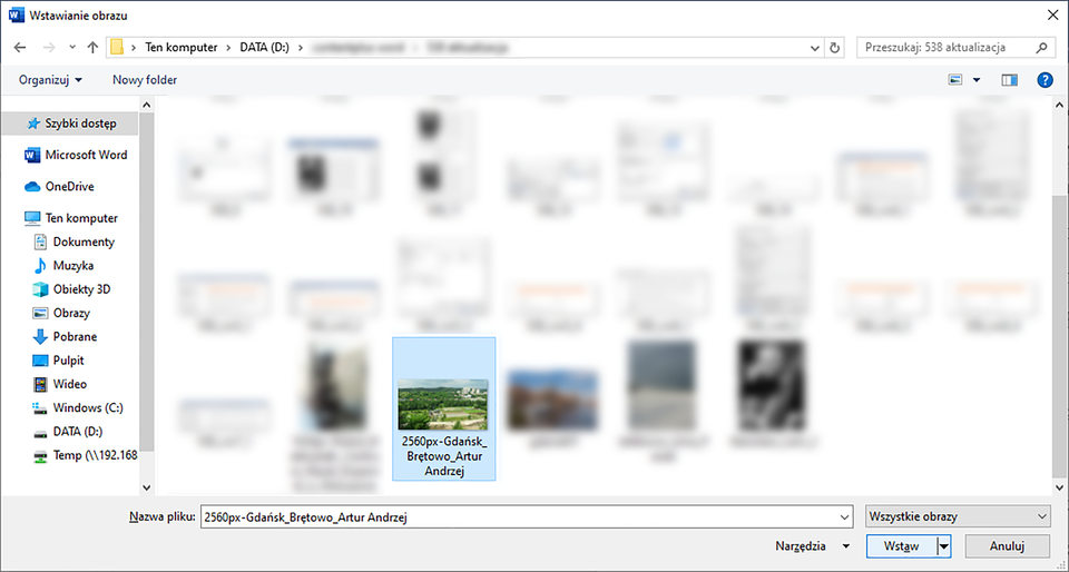 Zrzut ekranu eksploratora plików Windows. Spośród dostępnych grafik wyróżniono fotografię przedstawiającą Gdańsk Brętowo. 
