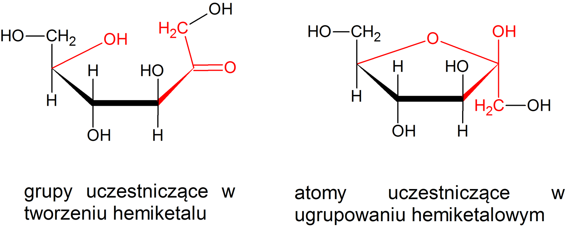 Ilustracja przedstawia wzory fruktozy w formie pierścieniowej i łańcuchowej, przy czym forma łańcuchowa znajduje się w konformacji, umożliwiającej powstanie ugrupowania hemiketalowego. Po lewej stronie forma łańcuchowa, opisana zgodnie z ruchem wskazówek zegara. Grupa hydroksylowa łączy się z grupą CH2, która to związana jest z atomem węgla połączonym za pomocą wiązania podwójnego z atomem tlenu oraz za pomocą wiązania pojedynczego z atomem węgla C 3, ten związany jest z atomem C 4, C 4 z C 5, a C 5 z C 6. Od węgla C 3 grupa hydroksylowa odchodzi przed płaszczyznę, a atom wodoru za, z kolei od węgla C 4 atom wodoru znajduje się przed płaszczyzną, a grupa hydroksylowa za. Przy atomie węgla C 5 znajduje się odchodząca do góry grupa CH2OH, atom wodoru do dołu, a także znajdująca się w płaszczyźnie i zaznaczona na czerwono grupa hydroksylowa. Jest ona skierowana do początku łańcucha, to jest do węgla C 1 grupy metylenowej ora C 2 grupy karbonylowej, które to zaznaczone są również na czerwono, ponieważ uczestniczą w tworzeniu hemiketalu. Po prawej stronie znajduje się wzór beta‑D-fruktofuranozy zbudowanej z pięcioczłonowego pierścienia, który stanowi węgiel C1 należący do grupy CH2 podstawiony jest on grupą hydroksylową OH i łączy się z budującym pierścień atomem węgla C2, który związany jest grupą hydroksylową odchodzącą do góry, przed płaszczyznę. Od węgla C3 do góry przed płaszczyznę odchodzi grupa hydroksylowa OH, z kolei od węgla C4 za płaszczyznę odchodzi grupa hydroksylowa OH. Węgiel C5 łączy się z atomem tlenu, który to łączy się z atomem węgla C2, co zamyka pięcioczłonowy pierścień. Ponadto od węgla C5 odchodzi do góry grupa CH2OH. Ponownie na czerwono zaznaczono atom tlenu wbudowany w pierścień wraz z odchodzącymi od niego wiązaniami, a także grupą metylenową z węglem C 1 oraz atom węgla C 2 z podstawnikiem hydroksylowym i odchodzącymi od niego wiązaniami.